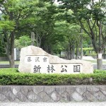 新林公園