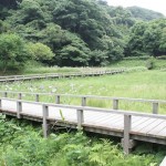 新林公園