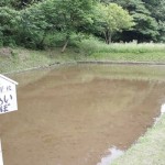 新林公園