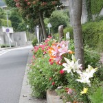 パークアリーナ